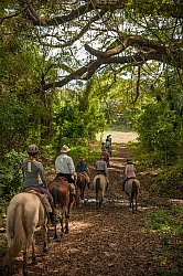 On the Trail at La Ensenada