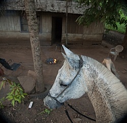 On the Trail at La Ensenada