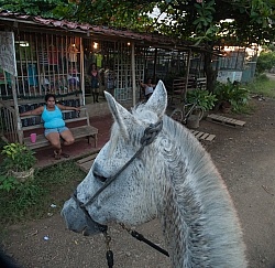 On the Trail at La Ensenada