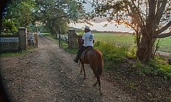 On the Trail at La Ensenada