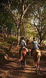 On the Trail at La Ensenada