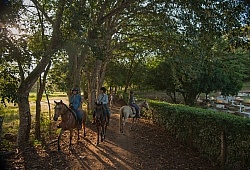 On the Trail at La Ensenada