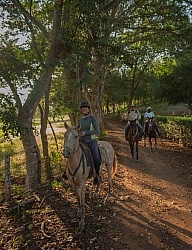 On the Trail at La Ensenada