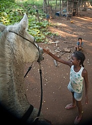 On the Trail at La Ensenada