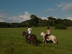 On the Trail at La Ensenada