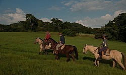 On the Trail at La Ensenada