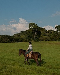 On the Trail at La Ensenada