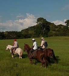 On the Trail at La Ensenada
