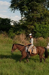 On the Trail at La Ensenada