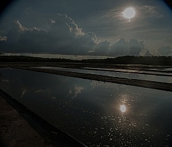 On the Trail at La Ensenada