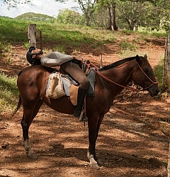 On the Trail at La Ensenada