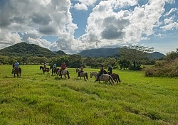 On the Trail at La Ensenada