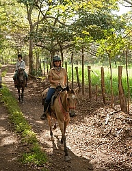 On the Trail at La Ensenada