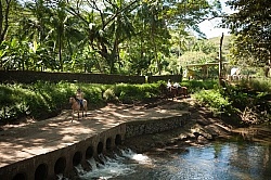 On the Trail at La Ensenada
