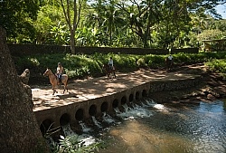 On the Trail at La Ensenada
