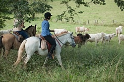 On the Trail at La Ensenada