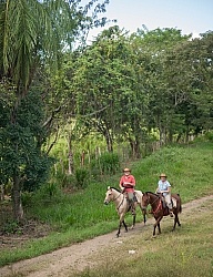 On the Trail at La Ensenada