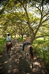 On the Trail at La Ensenada
