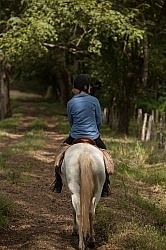 On the Trail at La Ensenada