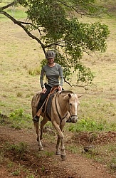 On the Trail at La Ensenada