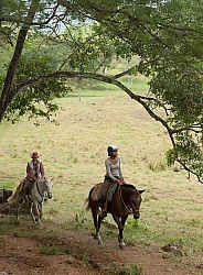 On the Trail at La Ensenada