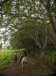 On the Trail at La Ensenada