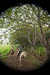 On the Trail at La Ensenada