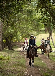 On the Trail at La Ensenada