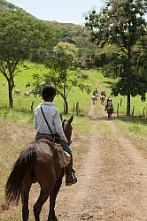 On the Trail at La Ensenada