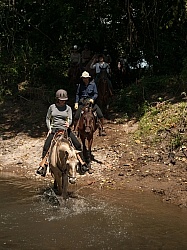 On the Trail at La Ensenada