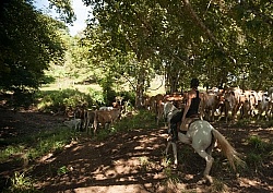 On the Trail at La Ensenada