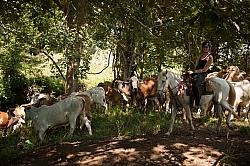On the Trail at La Ensenada