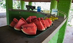 Watermelon at Cienfuegos