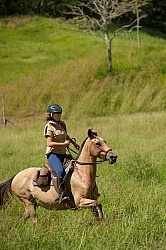 Canter at La Ensenada
