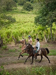 Canter at La Ensenada