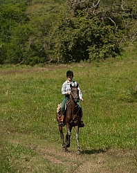 Canter at La Ensenada