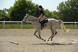 English Canter Work