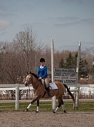 Butterscotch at Chance Stables Summer Camp