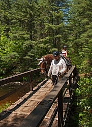 Fly Protection on the Trail