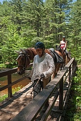Fly Protection on the Trail