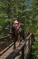 Fly Protection on the Trail