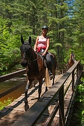 Fly Protection on the Trail