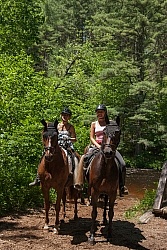 Fly Protection on the Trail