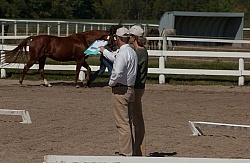 Hanoverian Inspection