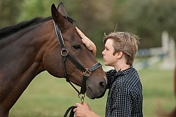 Hanoverian Inspection