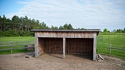 Trail Riding Western Run in Shelter