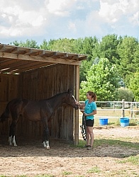 Oldenburg Run in Shelter
