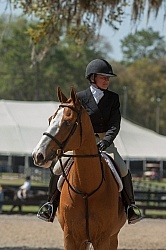 Hunter Derby Competition