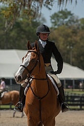 Hunter Derby Competition