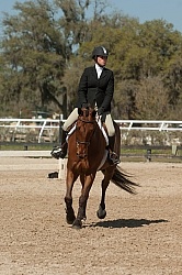 Hunter in Ring on Flat